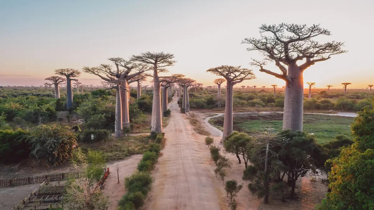Afrika'nın Hint Okyanusu'ndaki hazinesi: Madagaskar