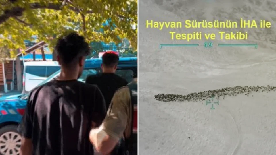 Van'da silahlı yağmacılara operasyon: Çalınan 800 küçükbaş İHA ile tespit edildi | Güncel Haberler