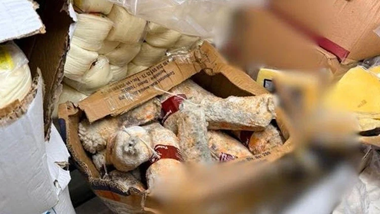 Bodrum'da 1,2 ton tarihi geçmiş gıda yakalandı
