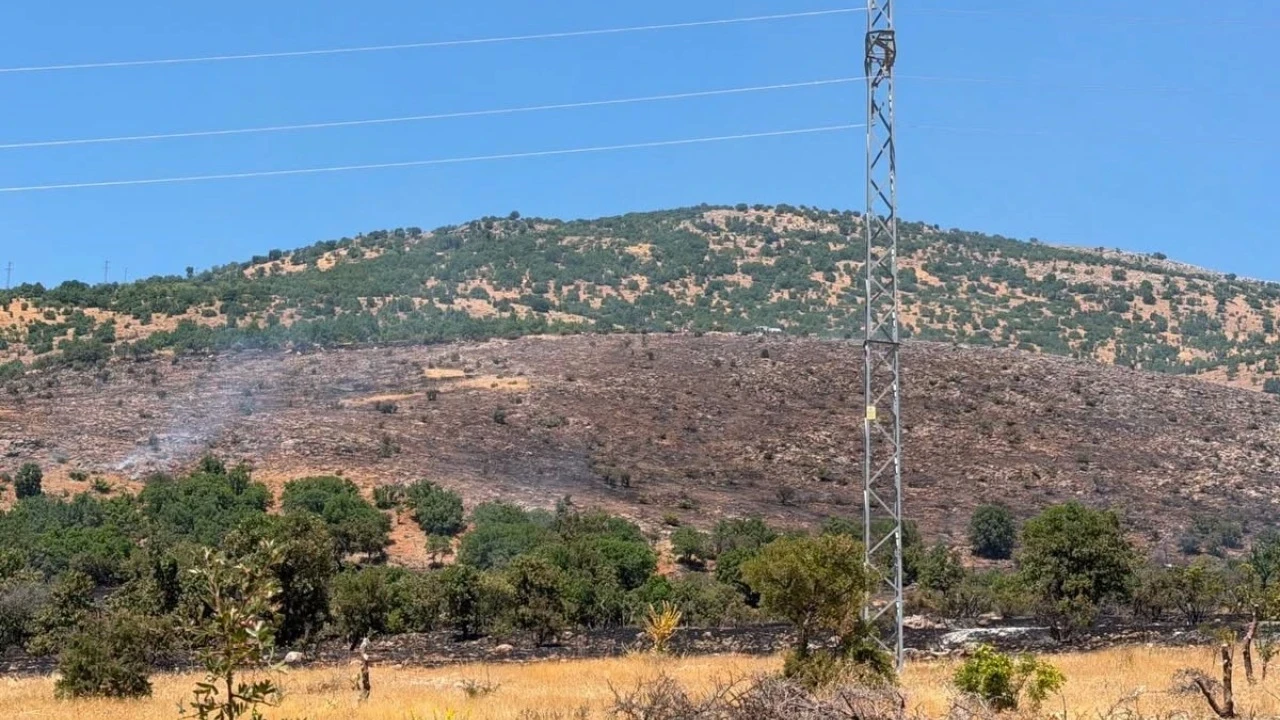 Erzincan'da korkutan arazi yangını