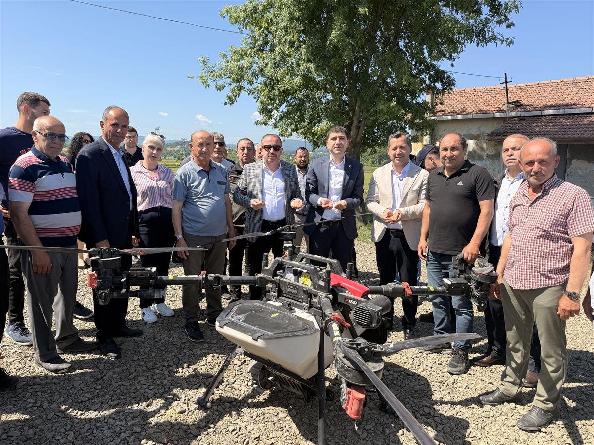 Samsun'da zirai dronla çeltik ekimi gerçekleştiriliyor