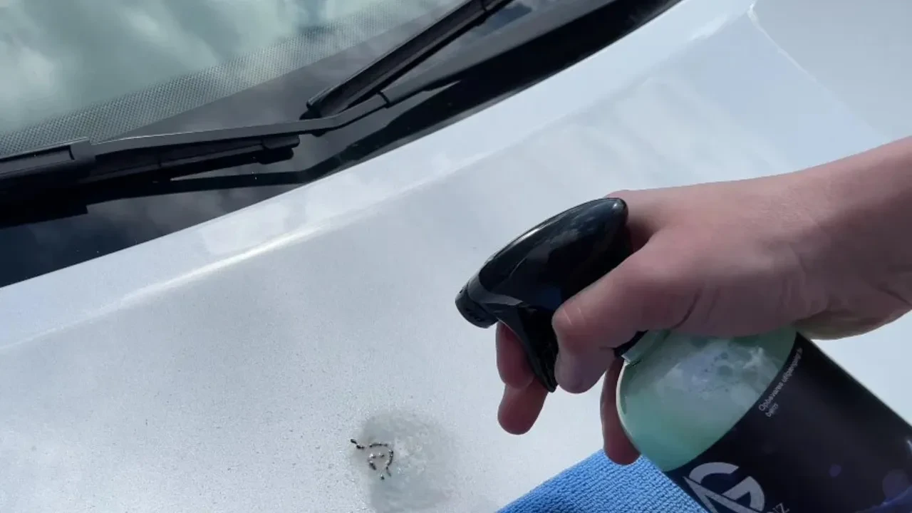 Aracınızdaki kuş pisliğini sakın hemen silmeyin! İşte boyaya zarar vermeden temizlemenin sırrı