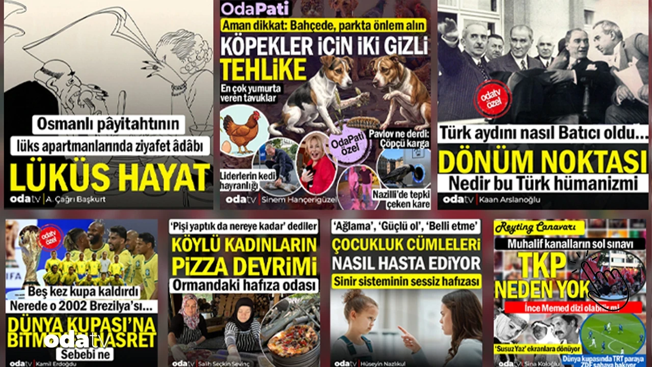 Okuma listeniz hazır... Köpekleri bekleyen iki tehlike
