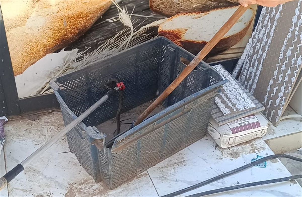 Gaziantep'te ekmek sandığına giren yılan yakalandı