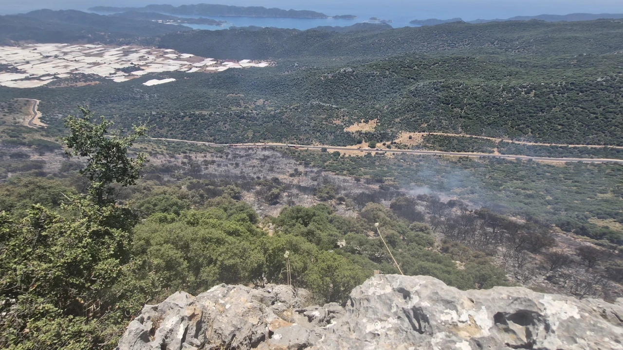 Alevlere Karşı Dev Hava Filosu: Antalya'da Korkutan Yangın Söndürüldü