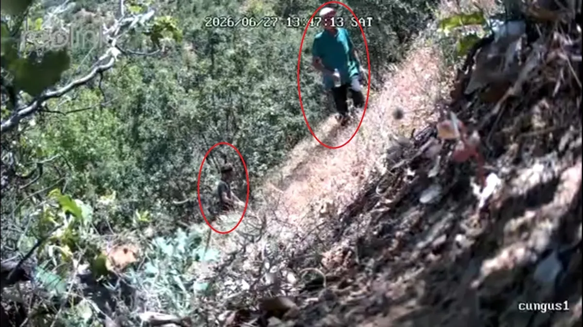 CHP ilçe başkanı ve oğlu fotokapana yakalandı! Ele geçirilenler 'pes artık' dedirtti