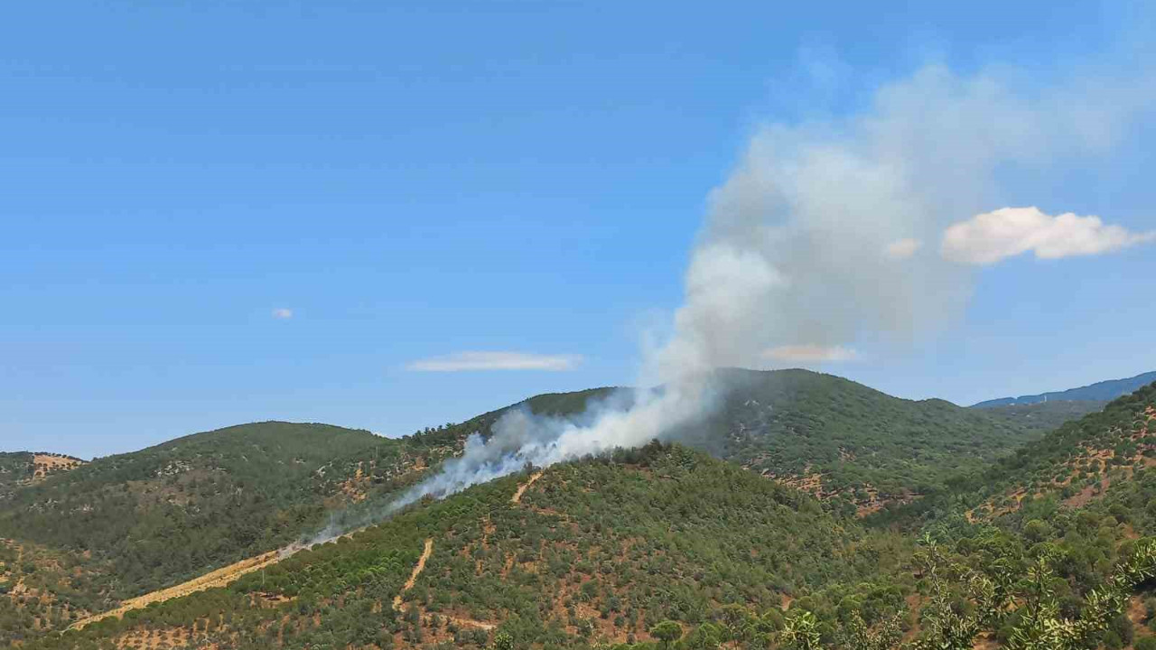 Burhaniye'de orman yangını kontrol altına alındı