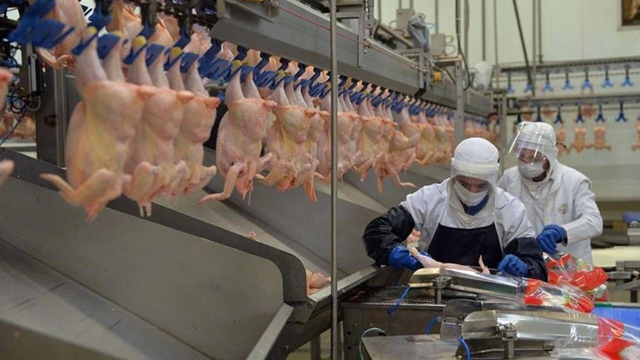 Son Dakika | Beyaz et sektöründe kayyum sonrası marketlere fiyat cezası: 10 milyon lira kesildi