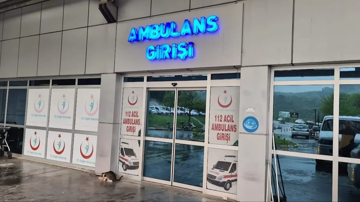 Ereğli'de eşek arısının soktuğu kadın yoğun bakıma kaldırıldı: Hayati tehlikesi sürüyor