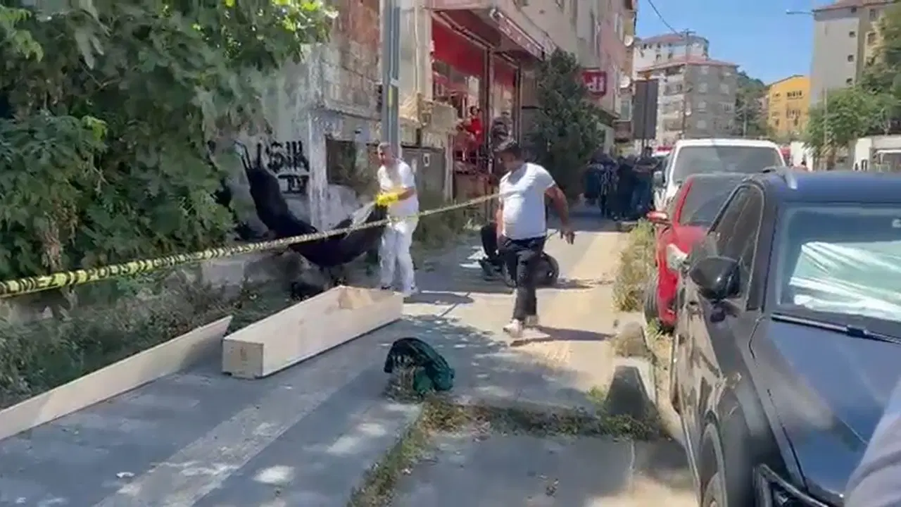 Sarıyer'de kaybolan kedisini ararken ceset buldu