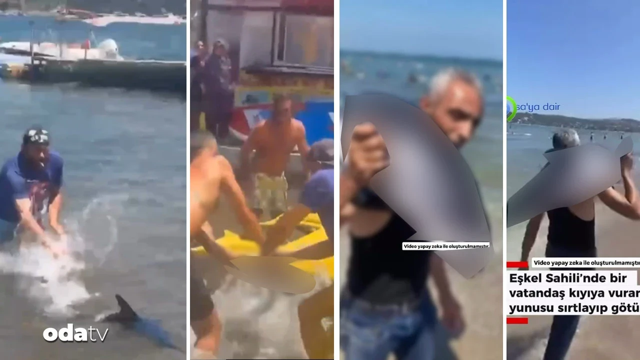 Mavi merlinden sonra yunus balığı: Sırtlayıp götürdü