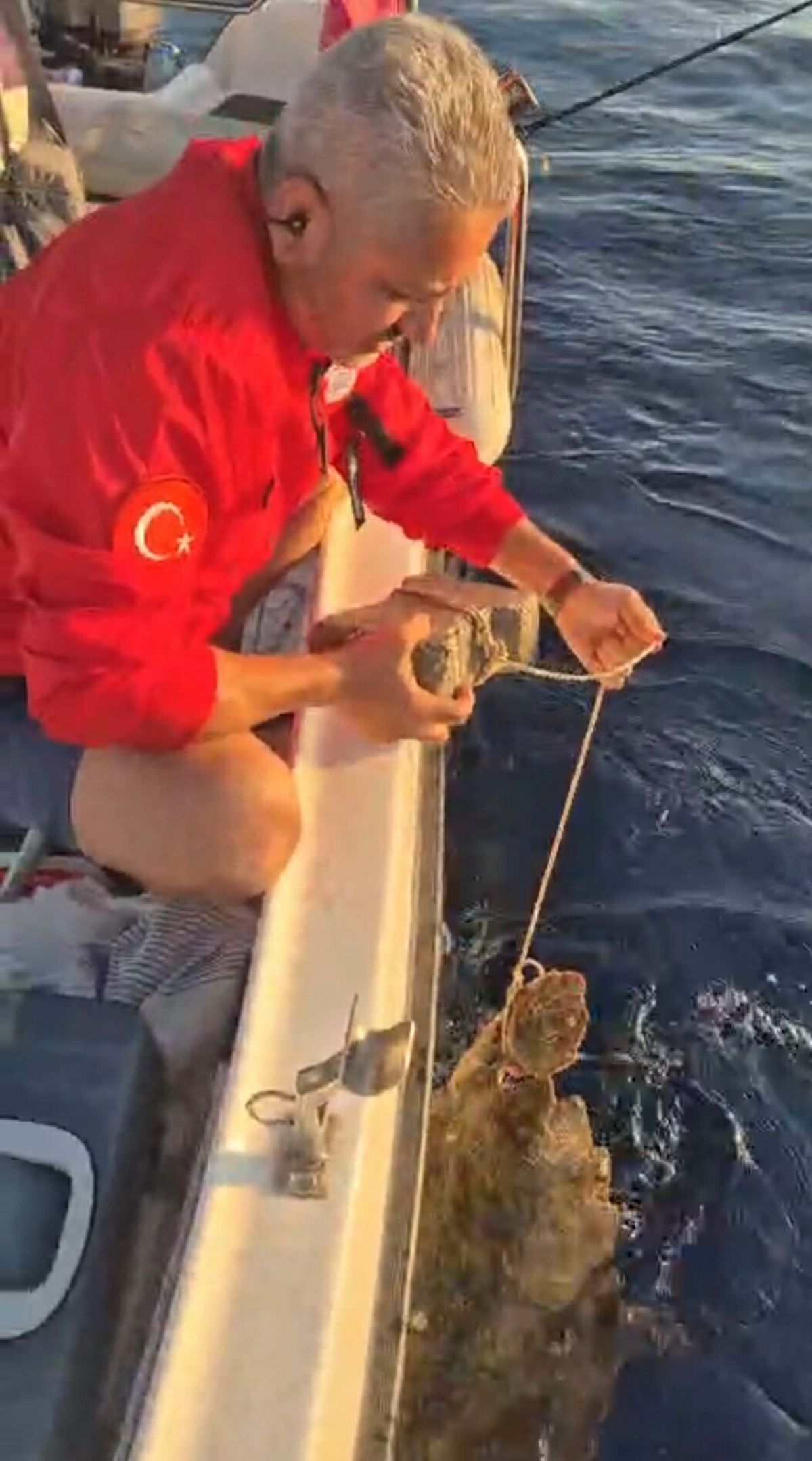 Ayağına parke taşı bağlanmış deniz kaplumbağasını kurtardılar