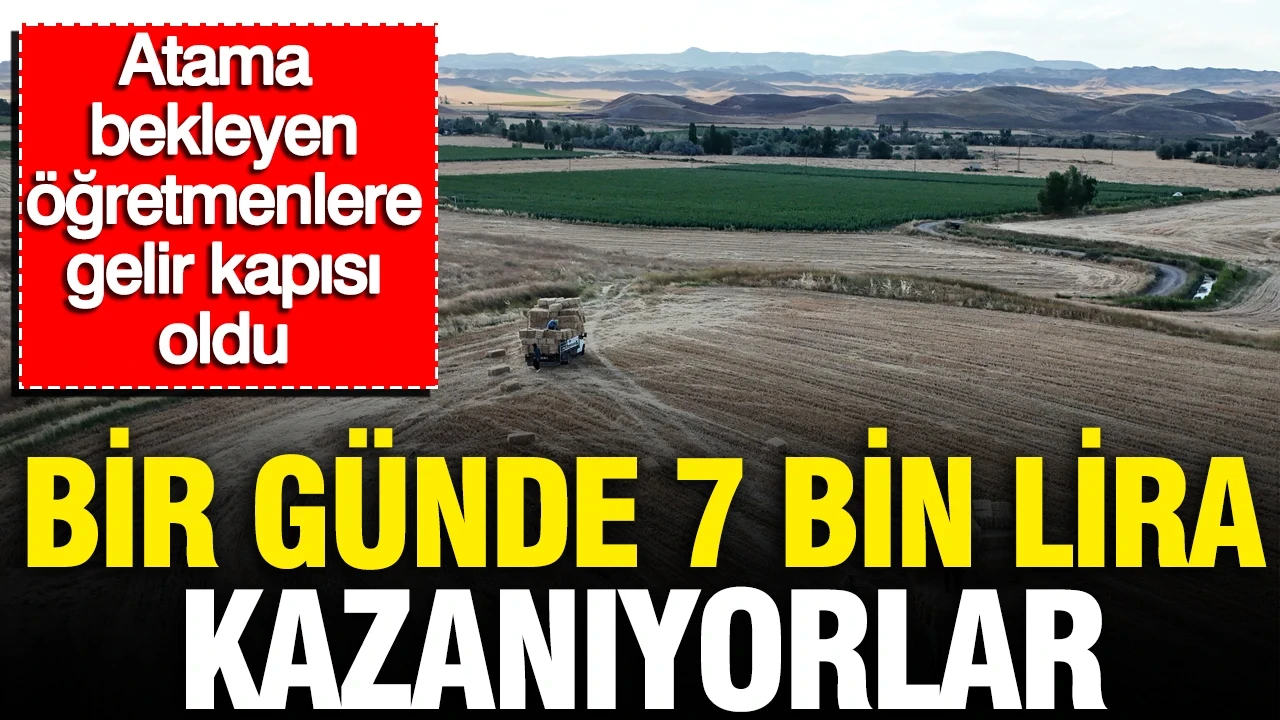 Bir günde 7 bin lira kazanıyorlar: Atama bekleyen öğretmenlere gelir kapısı oldu