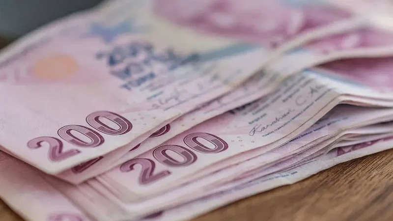 Türkiye'nin tüketim mal ve hizmetleri fiyat düzeyi endeksi 60 oldu