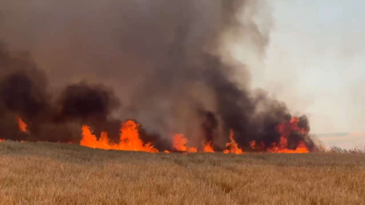 Tekirdağ'da buğday ekili tarlar alev alev yandı! 300 dönüm alan kül oldu
