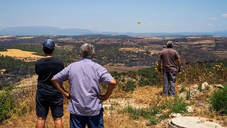 İspanya'da orman yangını: Binlerce kişi tahliye edildi