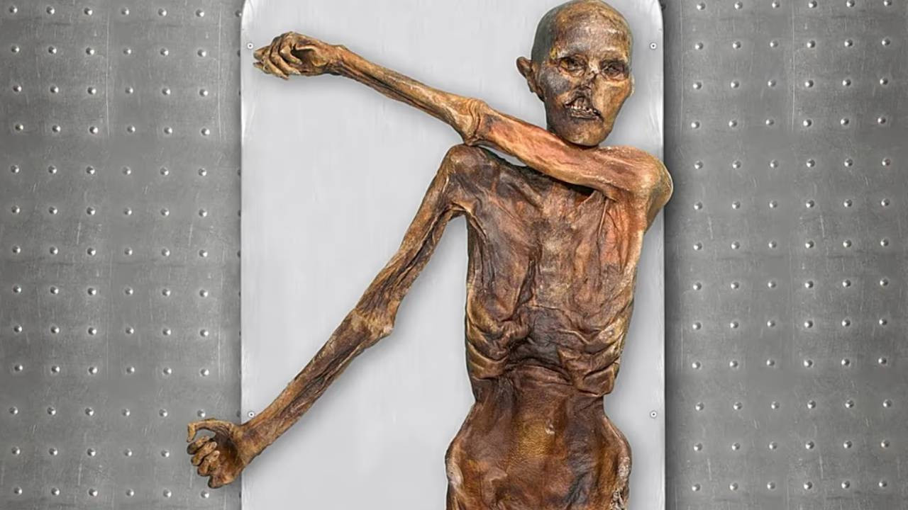 Anadolu kökenli 5 bin yıllık mumyadan mumyadan ekmek yapıldı