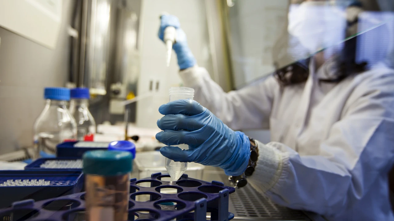 Fransa'da Ebola vakası görüldü