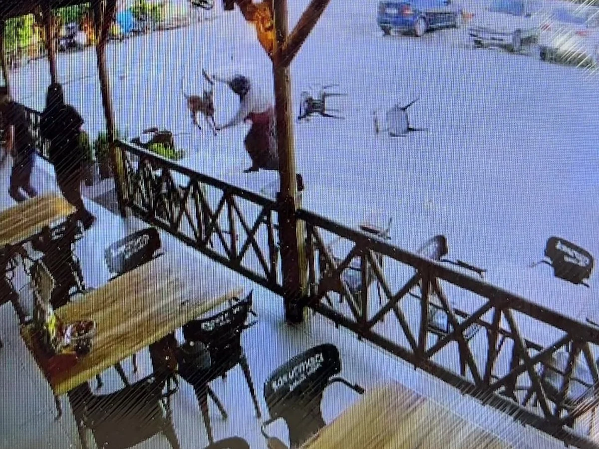 Afyonkarahisar'da başıboş köpek kadının kolunu kopardı