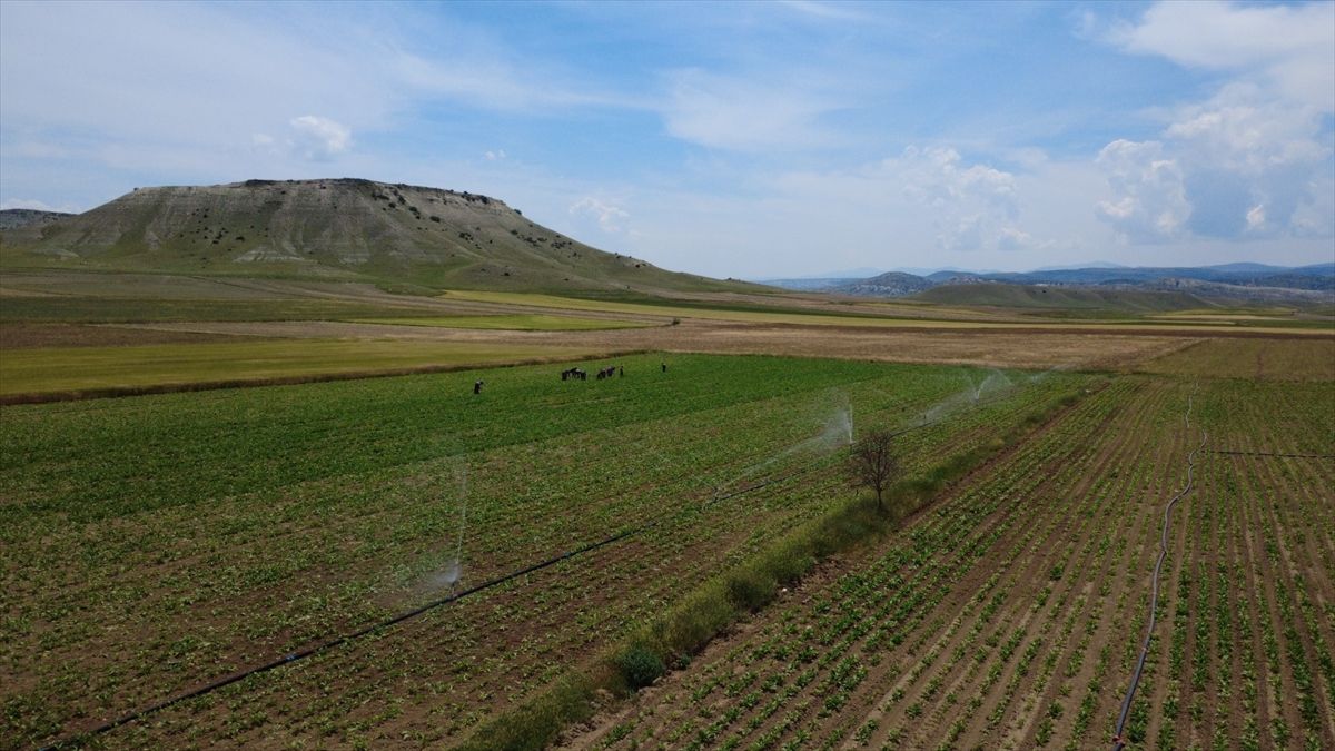 Eskişehir'de 405 bin dekar tarım arazisine sulama