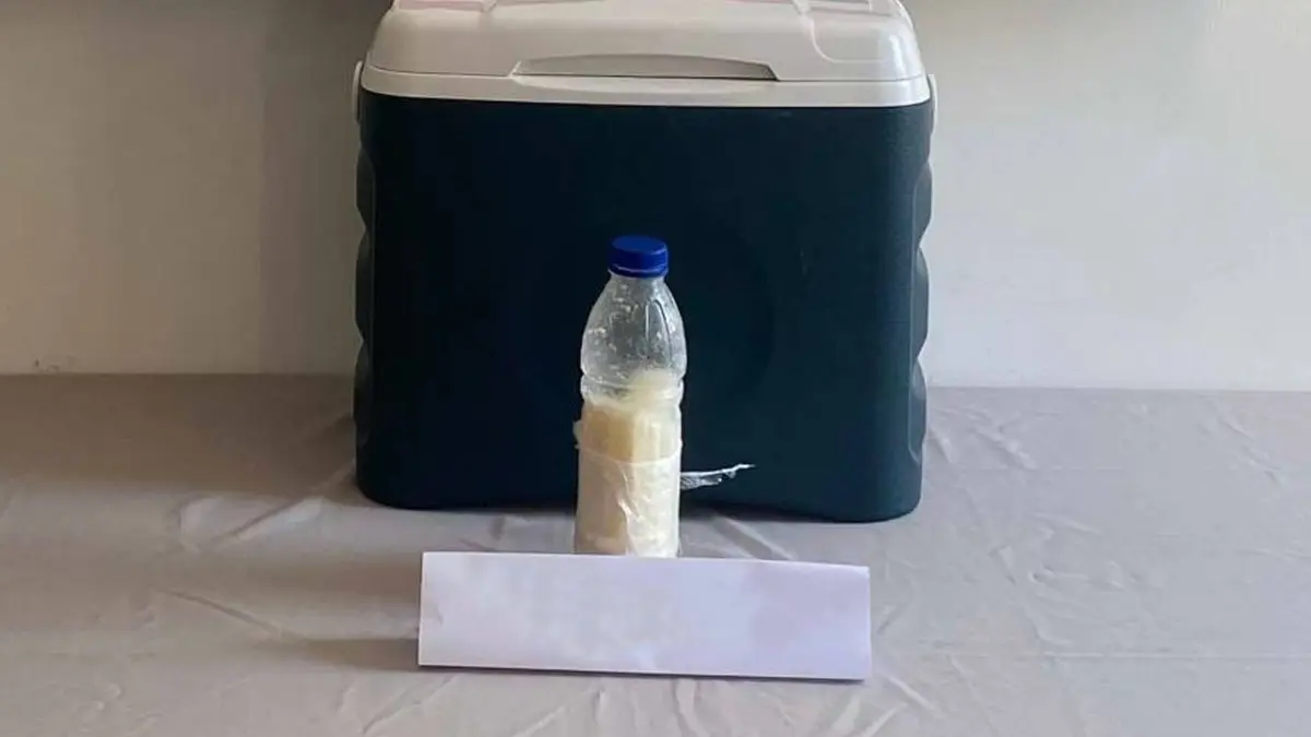 Suriye’den Türkiye’ye getirmişler! 500 gramı 5 milyon dolar