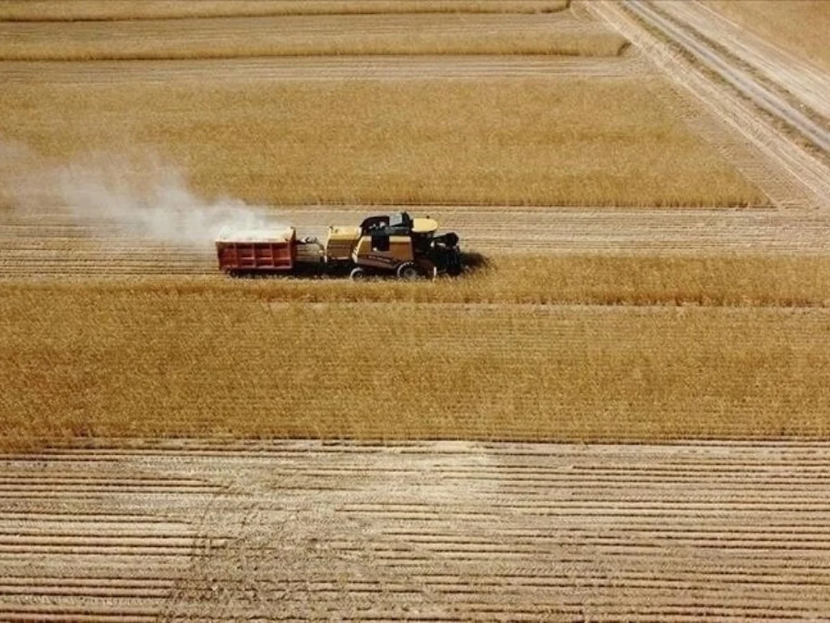 Tarım ve hayvancılığa 165,5 milyon lira destek ödemesi