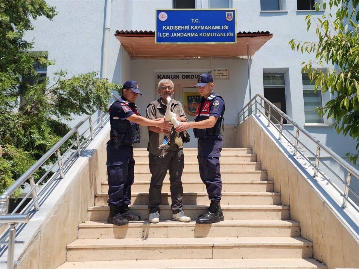 Yozgat'ta yaralı leyleği jandarma kurtardı
