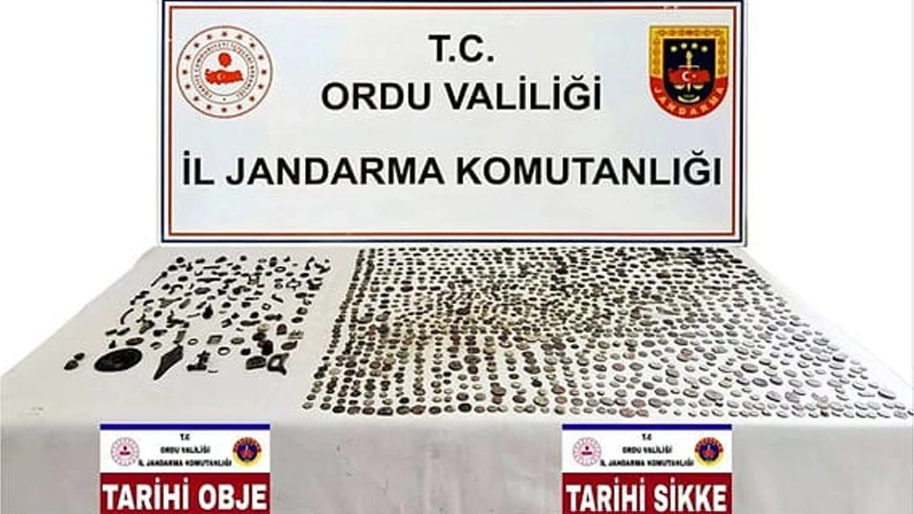 Ordu'da tarihi eser ve kaçakçılık operasyonu