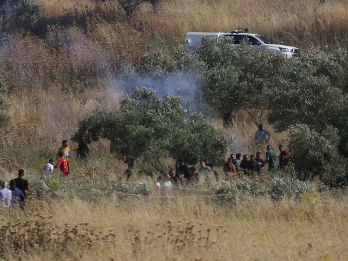İsrail, Batı Şeria'da Filistinlilere ait araziyi gasbetti