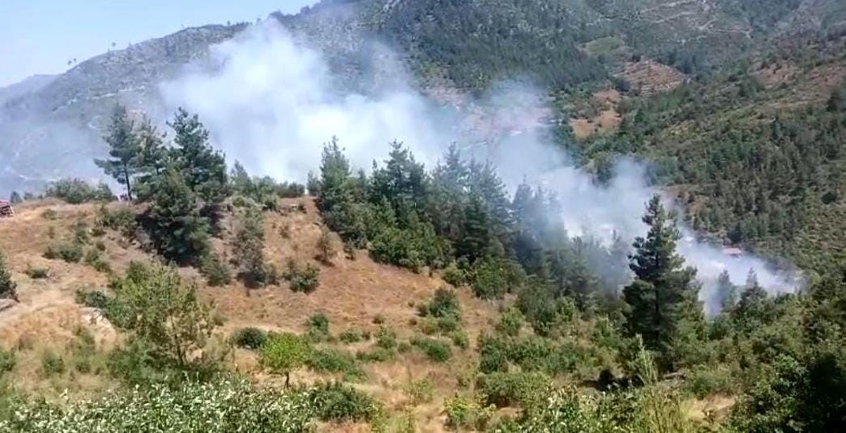 Adana'da orman yangını
