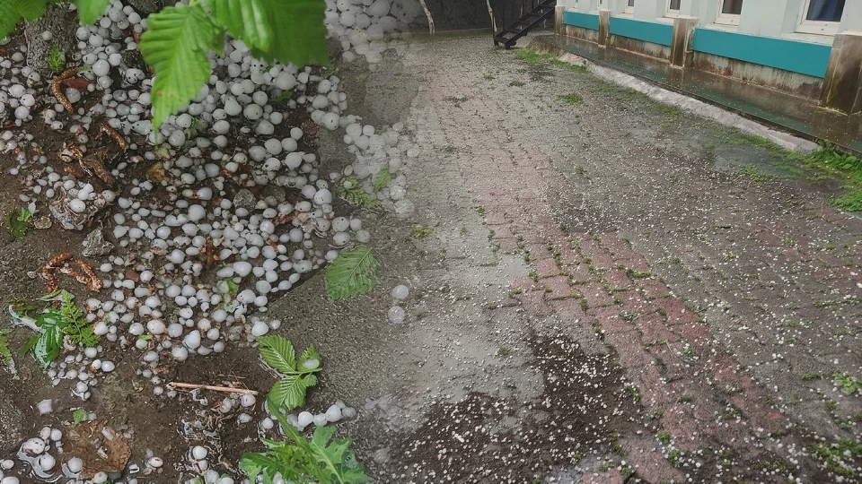 Ardahan’da aralıksız yağmur sonucu tarım arazilerinde zarar meydana geldi
