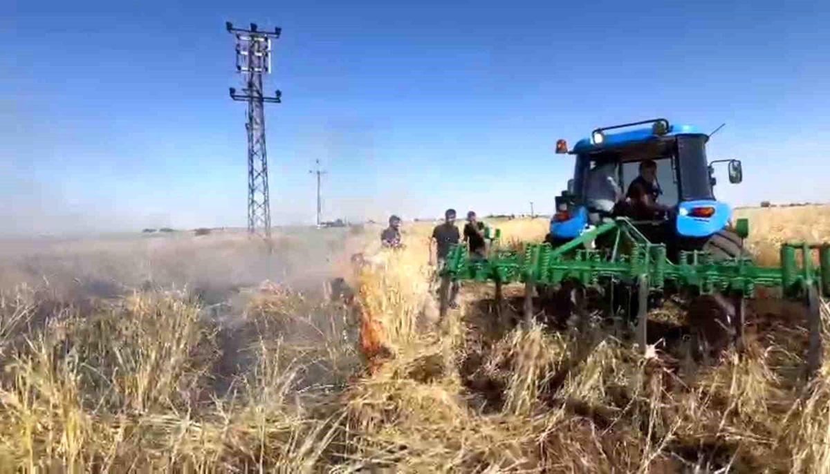 Şanlıurfa'da onlarca dönümlük arpa ekili tarla kül oldu