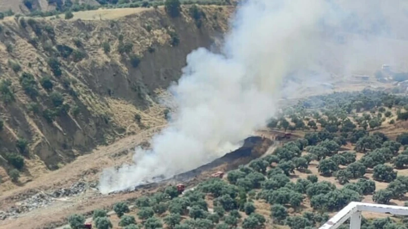Çöplükte başlayıp ormana sıçrayan yangın söndürüldü