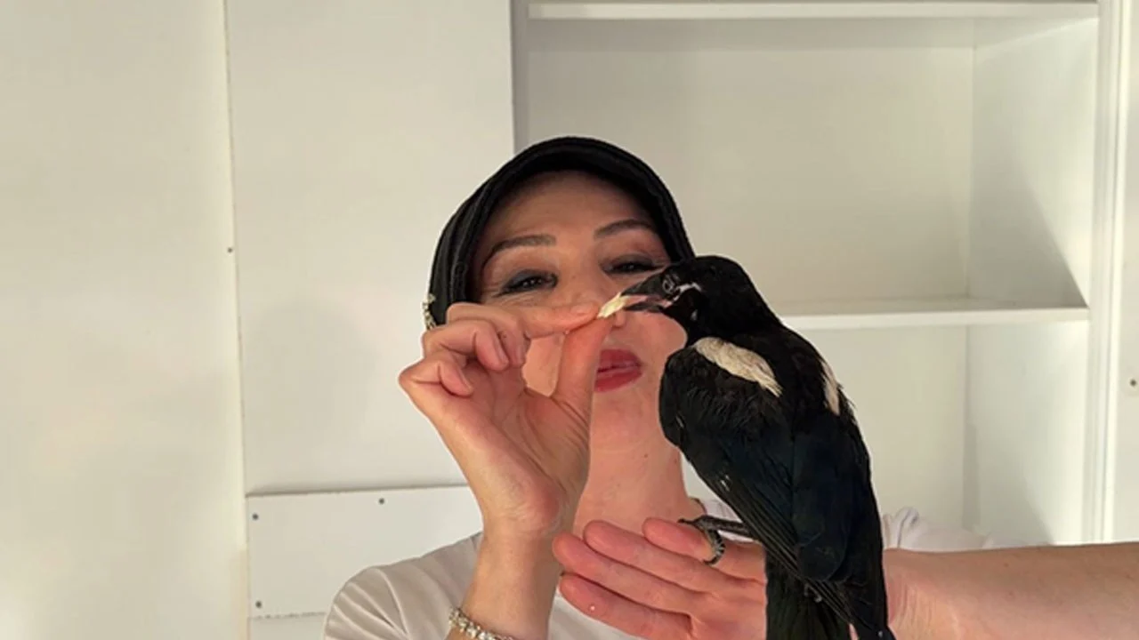 Yuvadan düştü, esnafın kalbine kondu! Böyle dostluk görülmedi