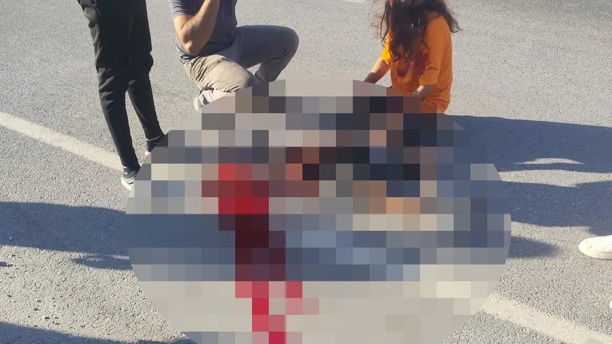 Topun peşinden ölüme koştu! Hatay'da yürek yakan kaza