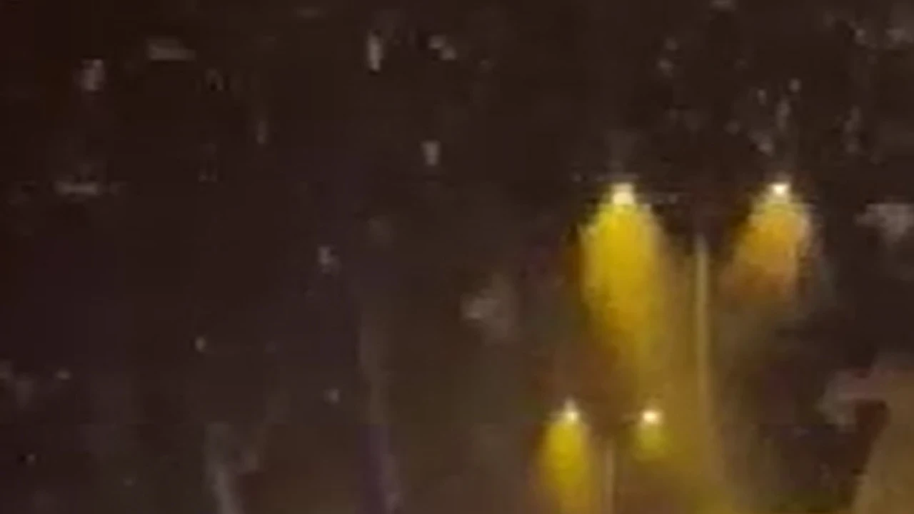 Sakarya'da milyonlarca kelebeğin ölüm dansı