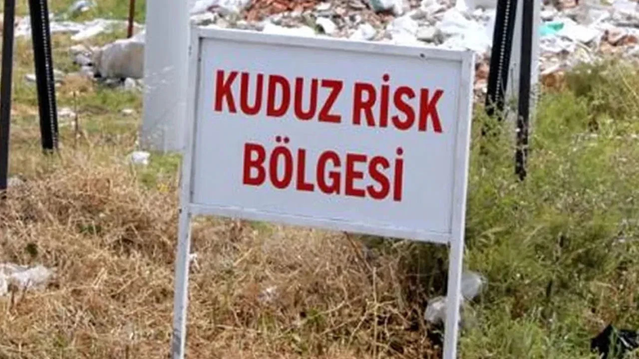 Van'da kuduz alarmı: 7 mahalle birden karantinaya alındı