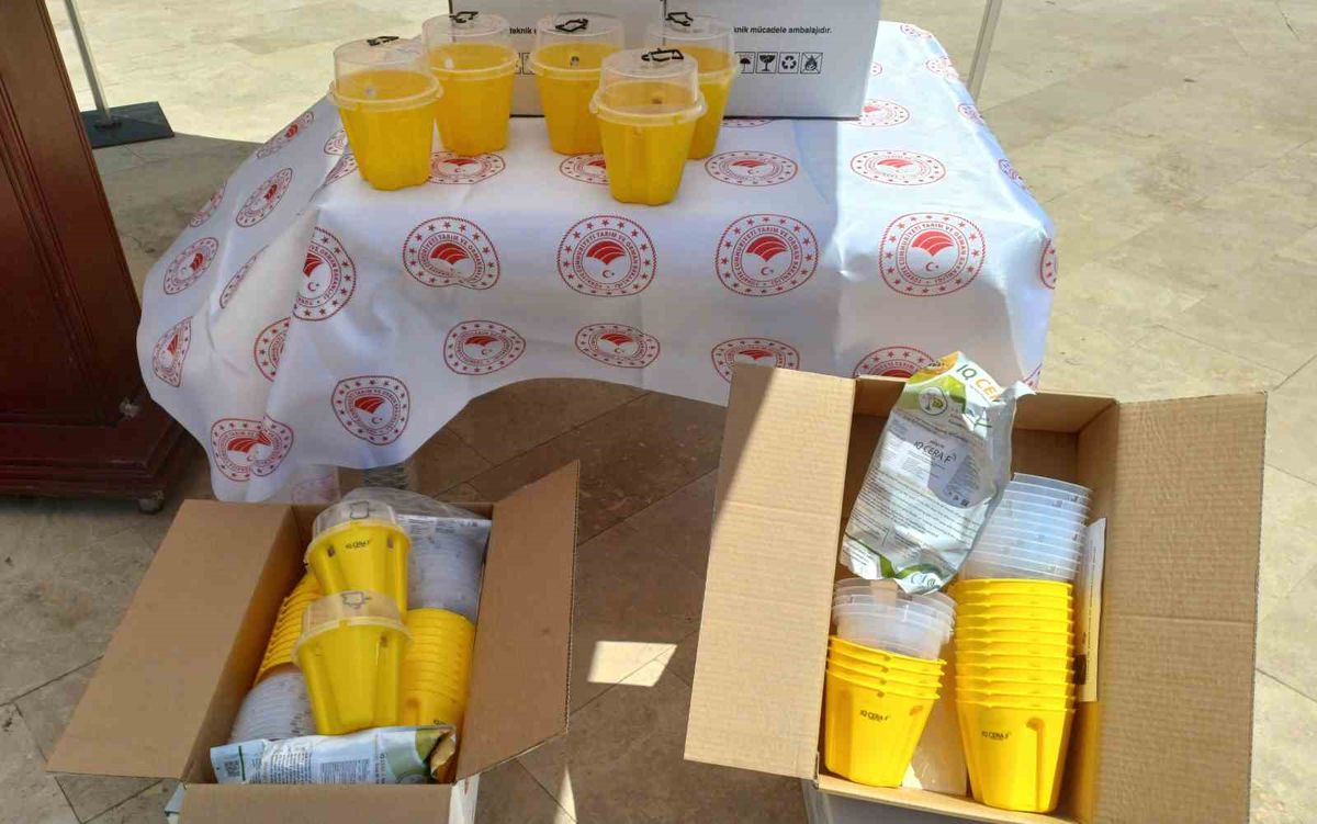 Aydın’da biyoteknik mücadeleye 13 bin tuzak desteği
