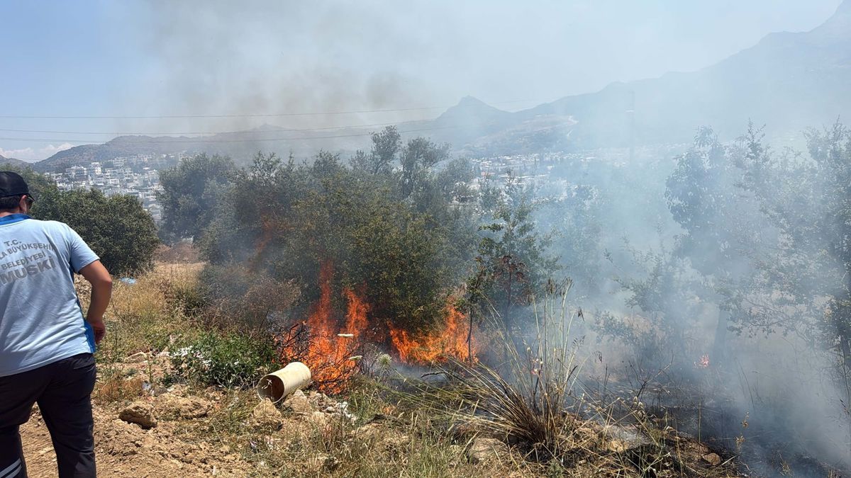 Bodrum'da maki yangınında 1 dekar alan zarar gördü