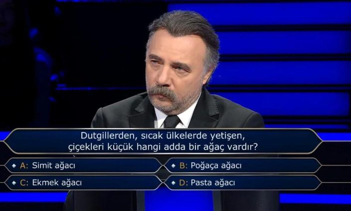 Dutgillerden, sıcak ülkelerde yetişen, çiçekleri küçük hangi adda bir ağaç vardır?