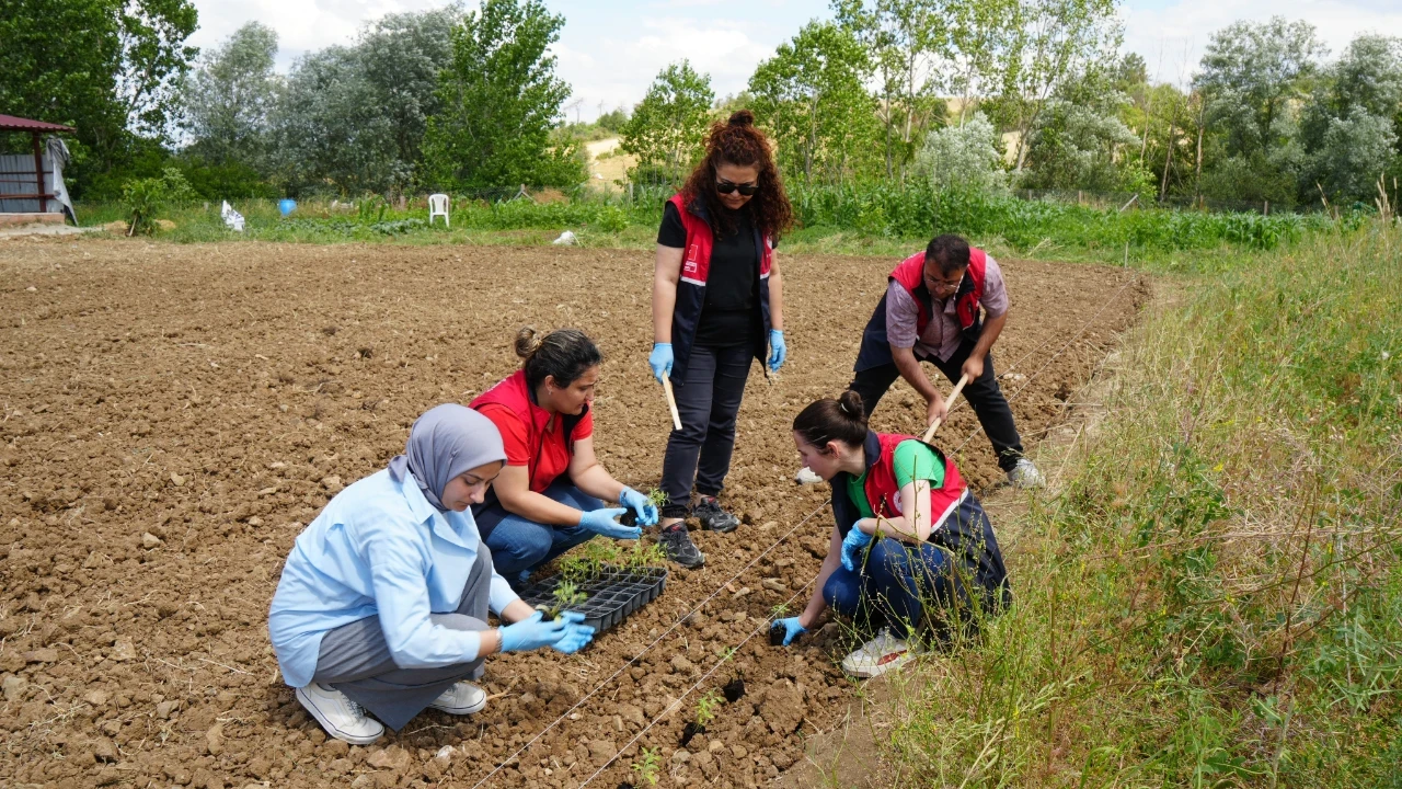 Üniversite serasında üretiliyor: Çiftçilerin gelirini arttırmayı hedefliyor