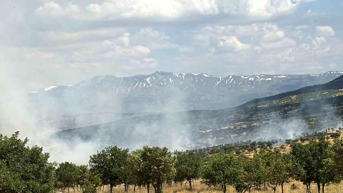 Bingöl'de çıkan orman yangını büyümeden kontrol altına alındı