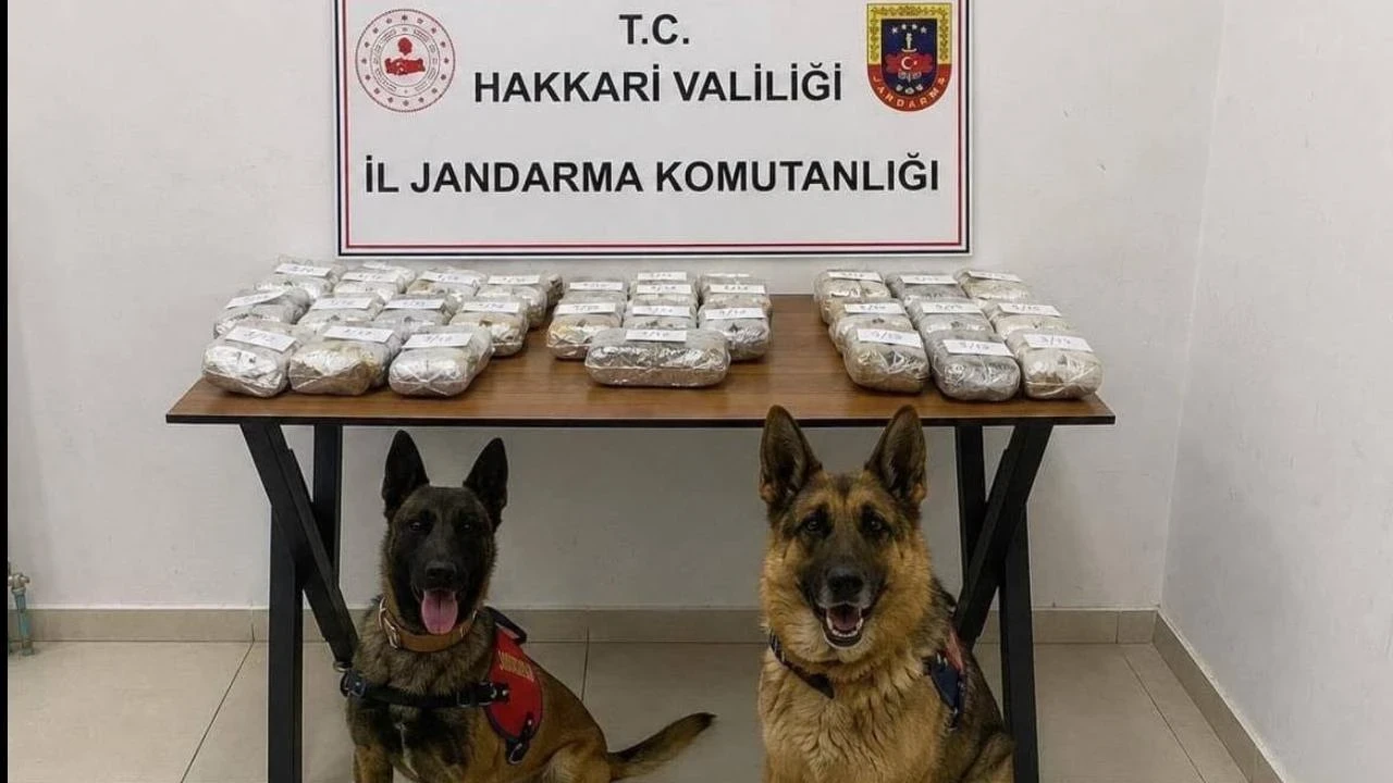 Jandarmadan narkotik darbesi: Kilolarca esrar ele geçirildi