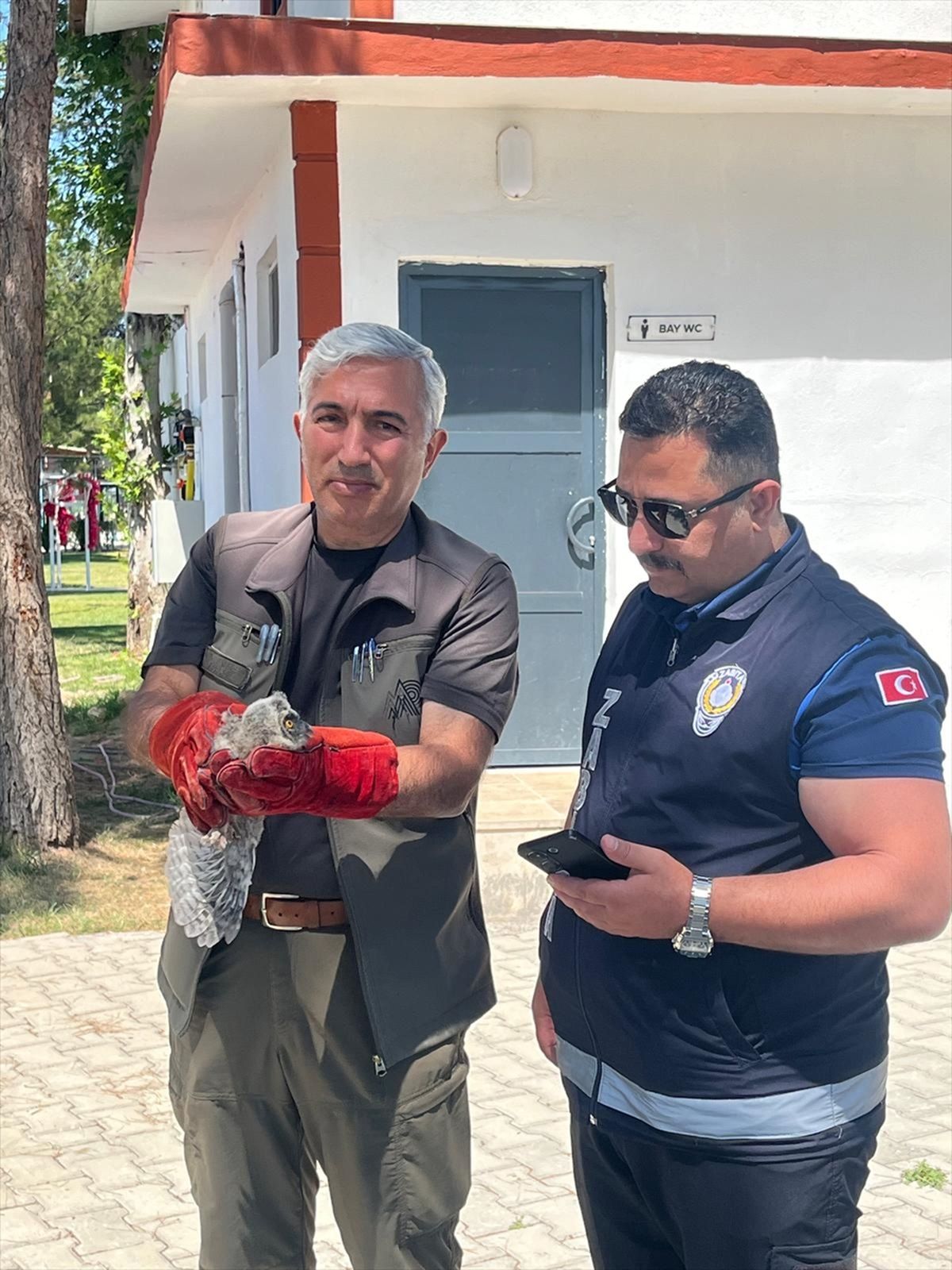 Malatya'da bulunan baykuş yavrusu koruma altına alındı