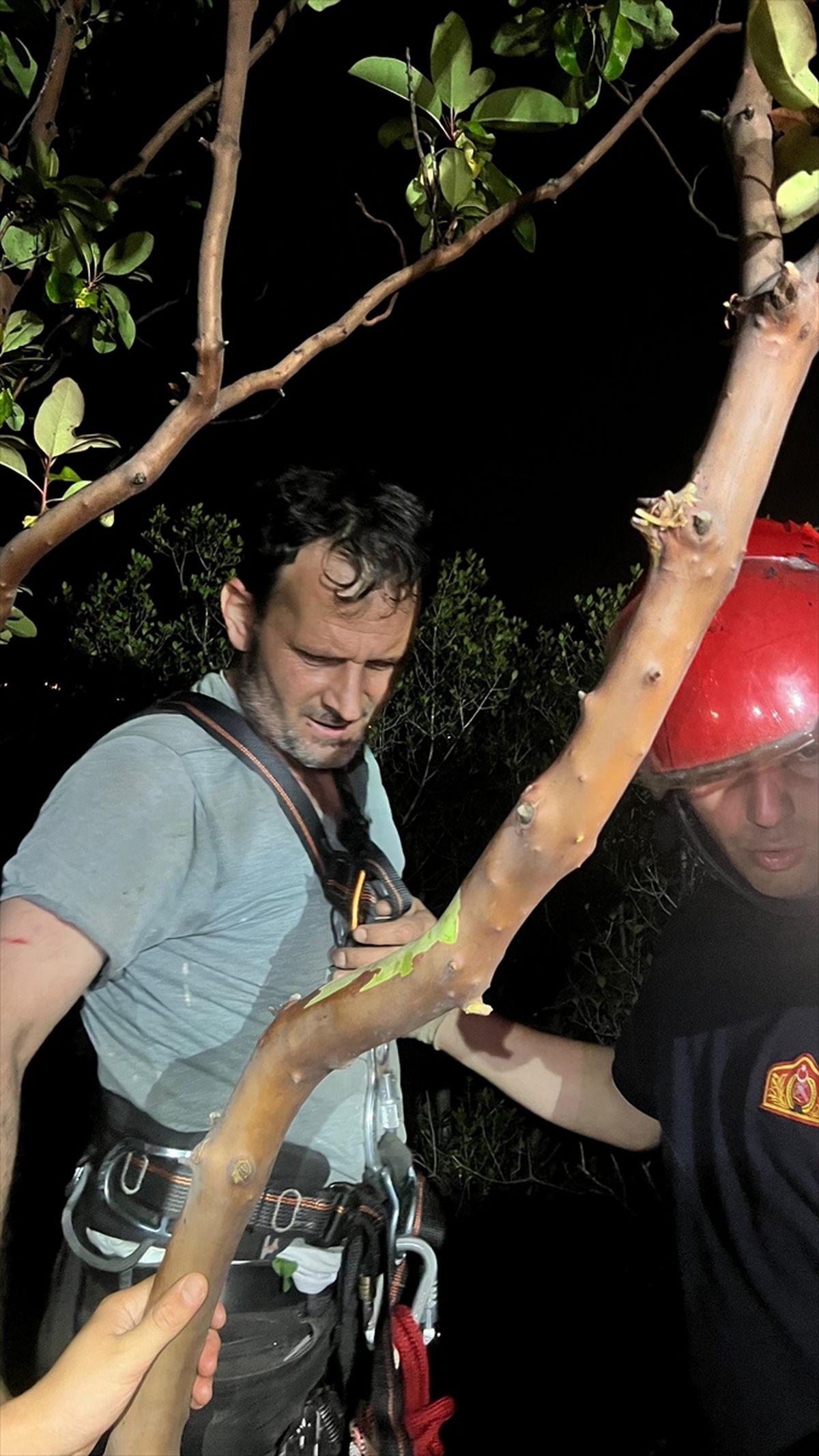 Trabzon'da yamaçta mahsur kalan kişi kurtarıldı