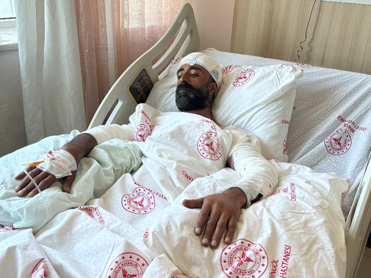 Bingöl'de mantar toplarken ayı saldırısına uğrayan adam kollarını siper ederek kurtuldu