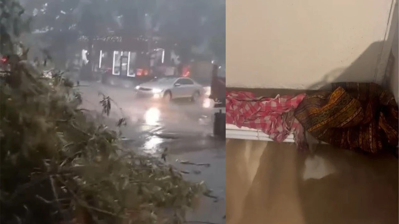 Kars'ta fırtına alarmı! Çatıları uçurdu, ağacı kökünden söktü