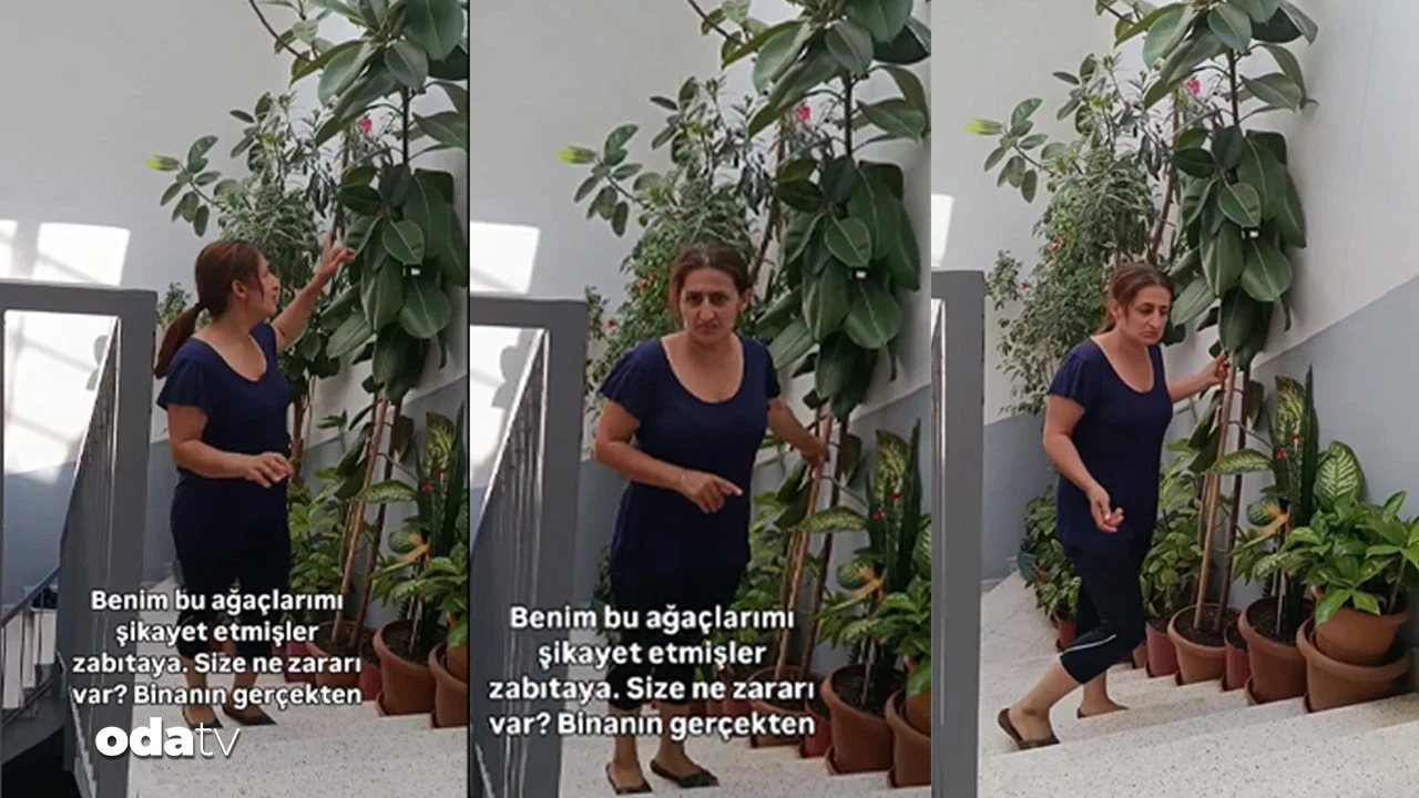 Bu kez ne kedi ne köpek ne kuş... Bitkileri şikayet ettiler... 'Çocuklarım gibiydi, ne istediniz'