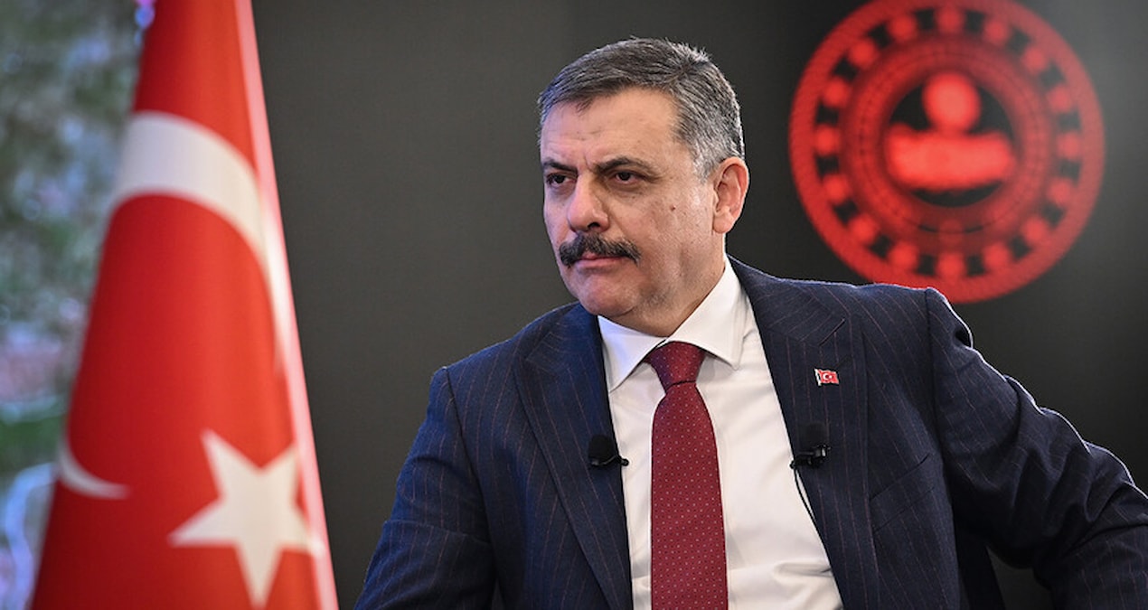 İçişleri Bakanı açıkladı: Yılbaşına kadar sokak köpeği kalmayacak