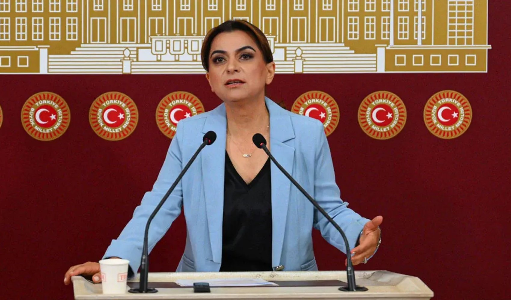 DEM Parti'den 'Çerçeve yasa' çıkışı: Bu hafta İmralı Heyeti'ne sunulmasını bekliyoruz